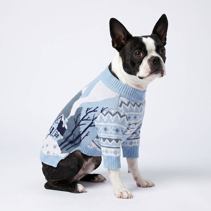Boston Terrier dog wearing a light blue and white patterned sweater for dogs, sitting against a plain light gray studio background