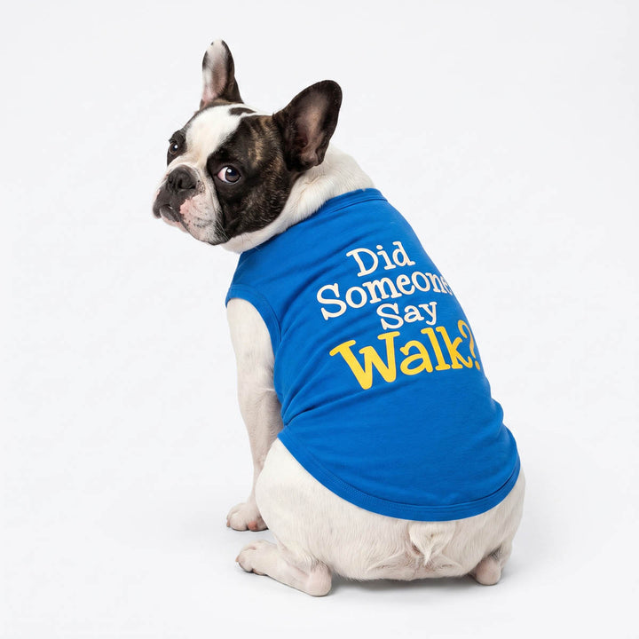 Black and white French Bulldog wearing a blue sleeveless dog tshirt with the lettering 'Did Someone Say Walk?' in white and yellow, sitting against a white studio background