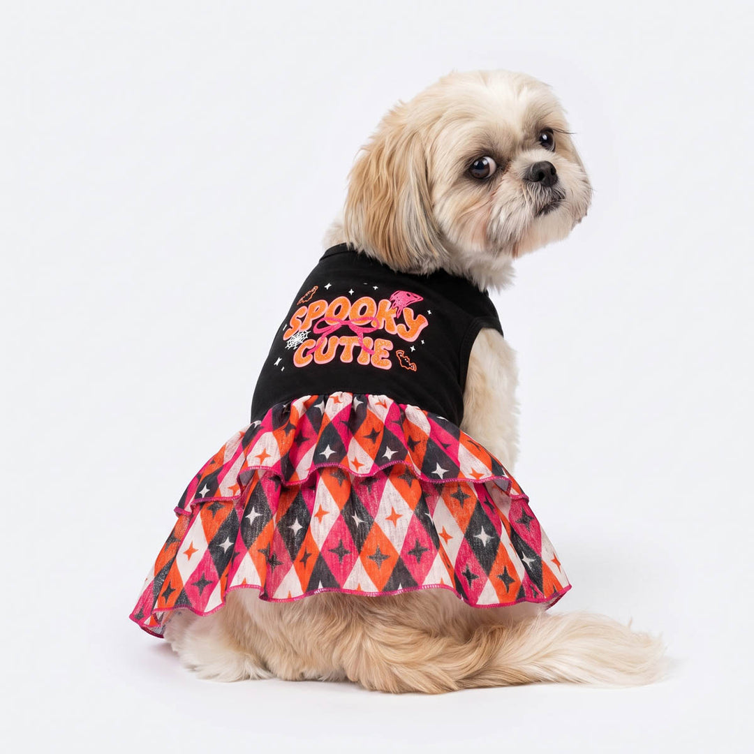 Fluffy dog wearing a black dog Halloween dress 'SPOOKY CUTE' text and a tiered pink, orange, and white patterned skirt, photographed on a clean white background
