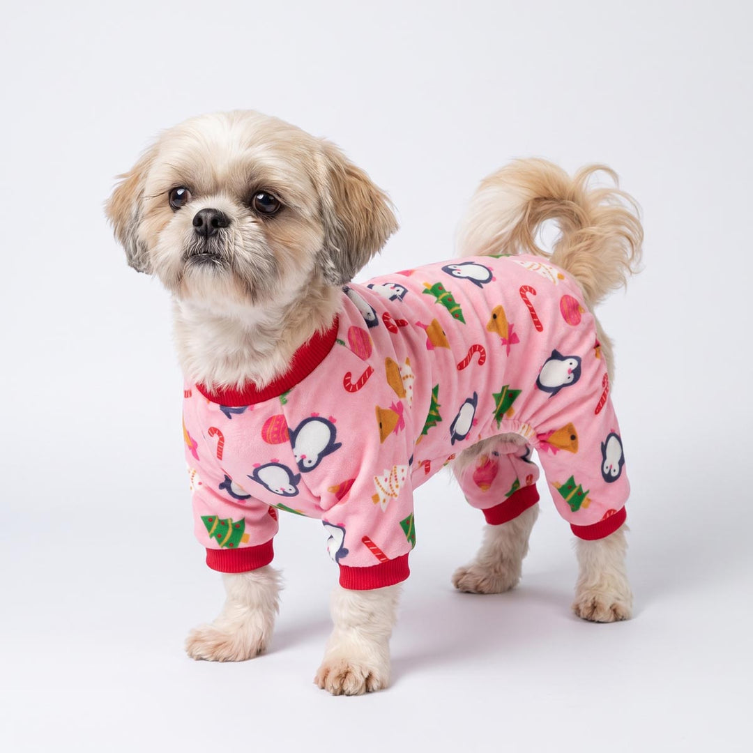 Small dog standing on the white background and wearing a pink penguin pajamas for dogs