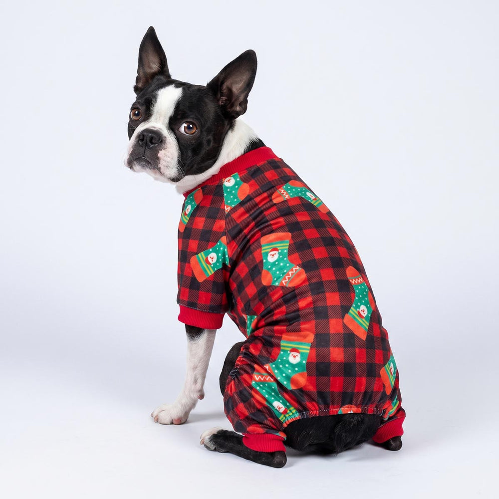 Boston Terrier wearing a red and black plaid dog pjs with green Christmas stocking patterns, photographed on a seamless white studio background