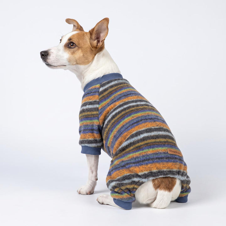 Small dog wearing a cozy, fuzzy striped dog onesie in stripes of blue, orange, and gray, photographed against a seamless white studio background