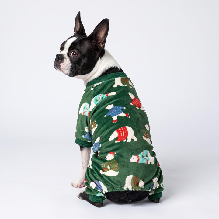 Boston Terrier sitting on a white background in dog pjs with funny polar bear in sweater prints