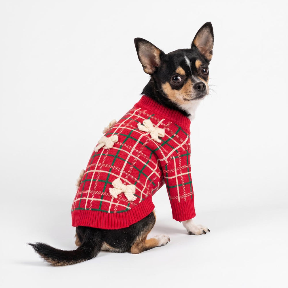 Small black and tan dog wearing a red dog knit sweater with green and white plaid lines and sweet bow