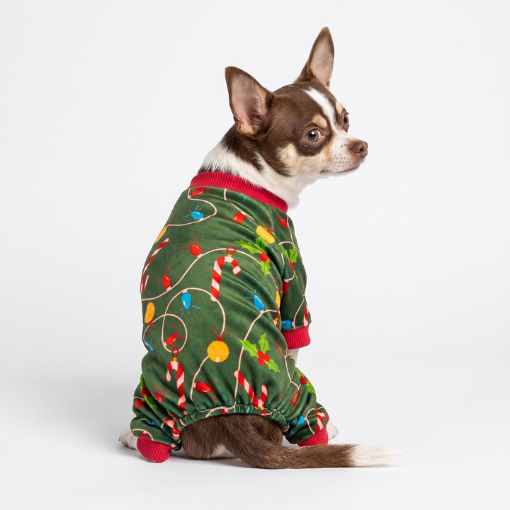 Chihuahua sitting on the white background with a dog Christmas pjs in colorful light prints