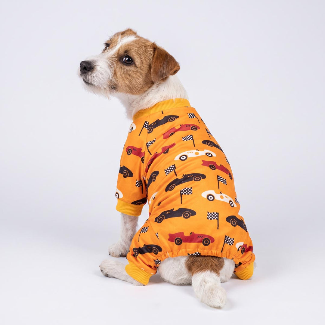 Small dog wearing a bright orange full-body dog pjs with an all-over race car print, photographed against a clean white studio background