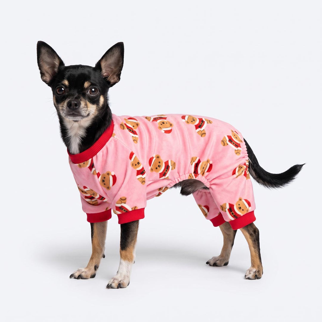 Chihuahua standing on a white background and wearing a santa bear pajamas for dogs