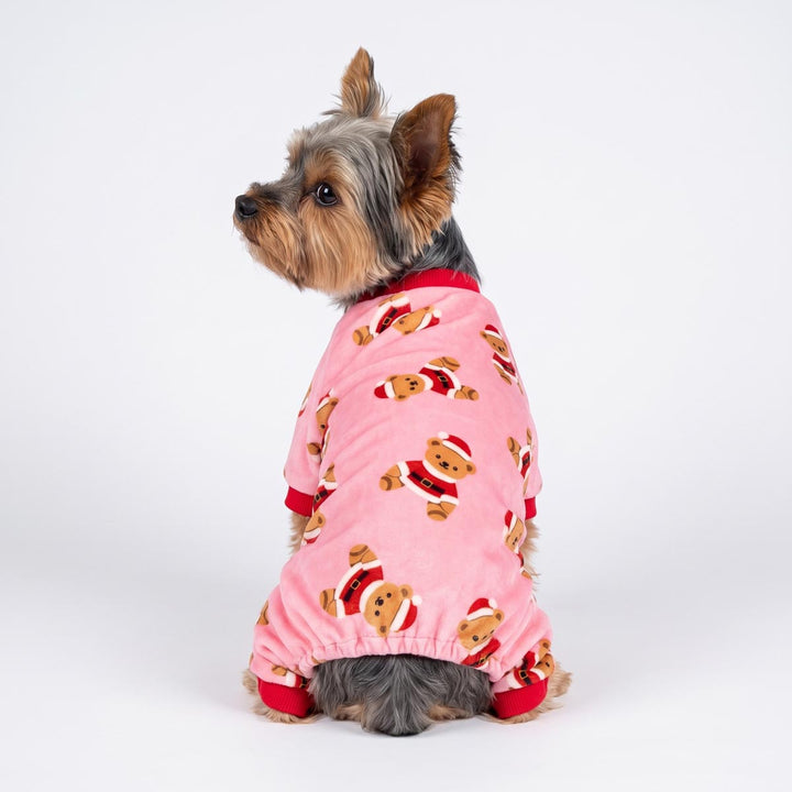 Back view of Yorkie in a dog Christmas pajamas with bear in Santa's outfit
