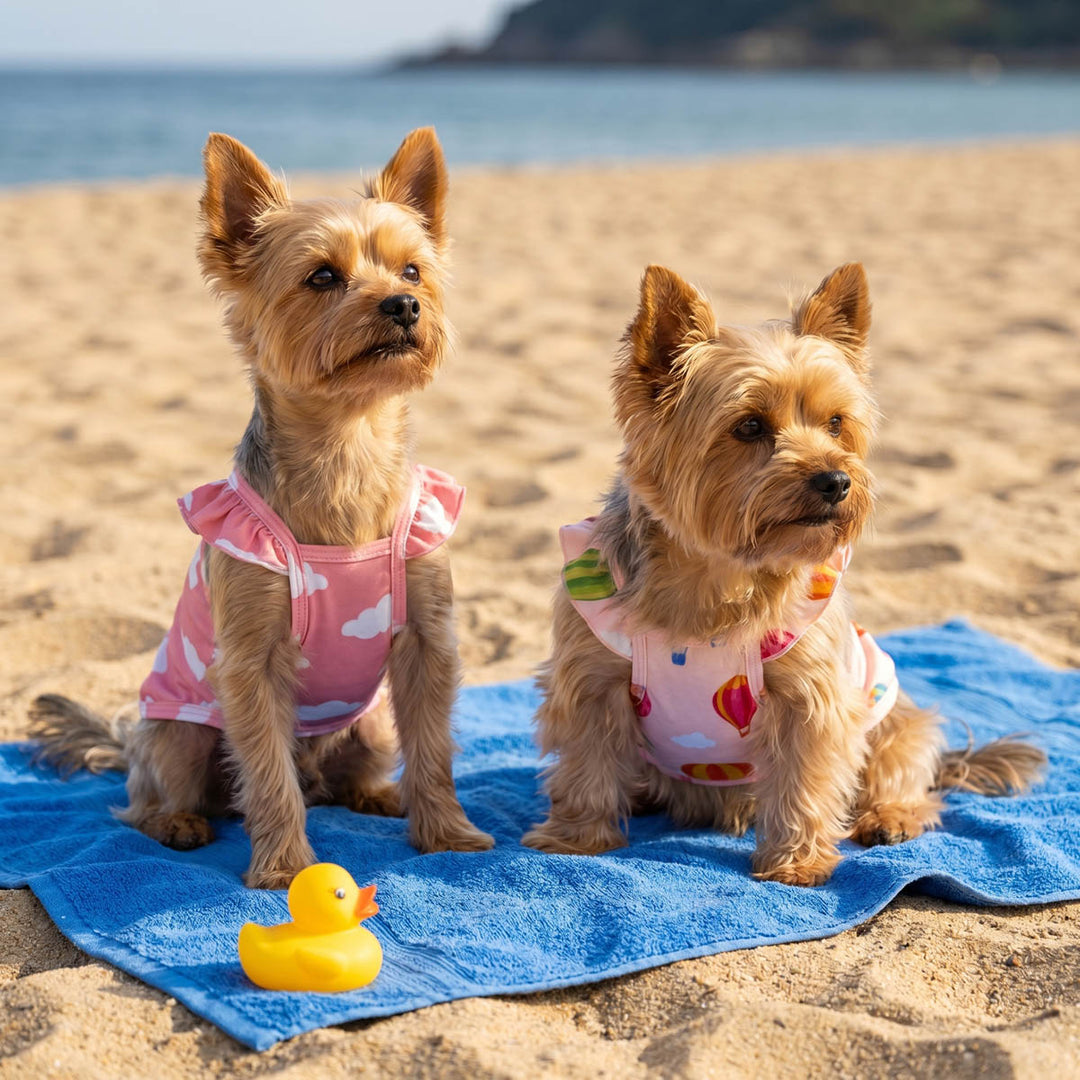 Two small dogs in 2 pack pink dog shirts sitting on a blue towel at the beach with a rubber duck