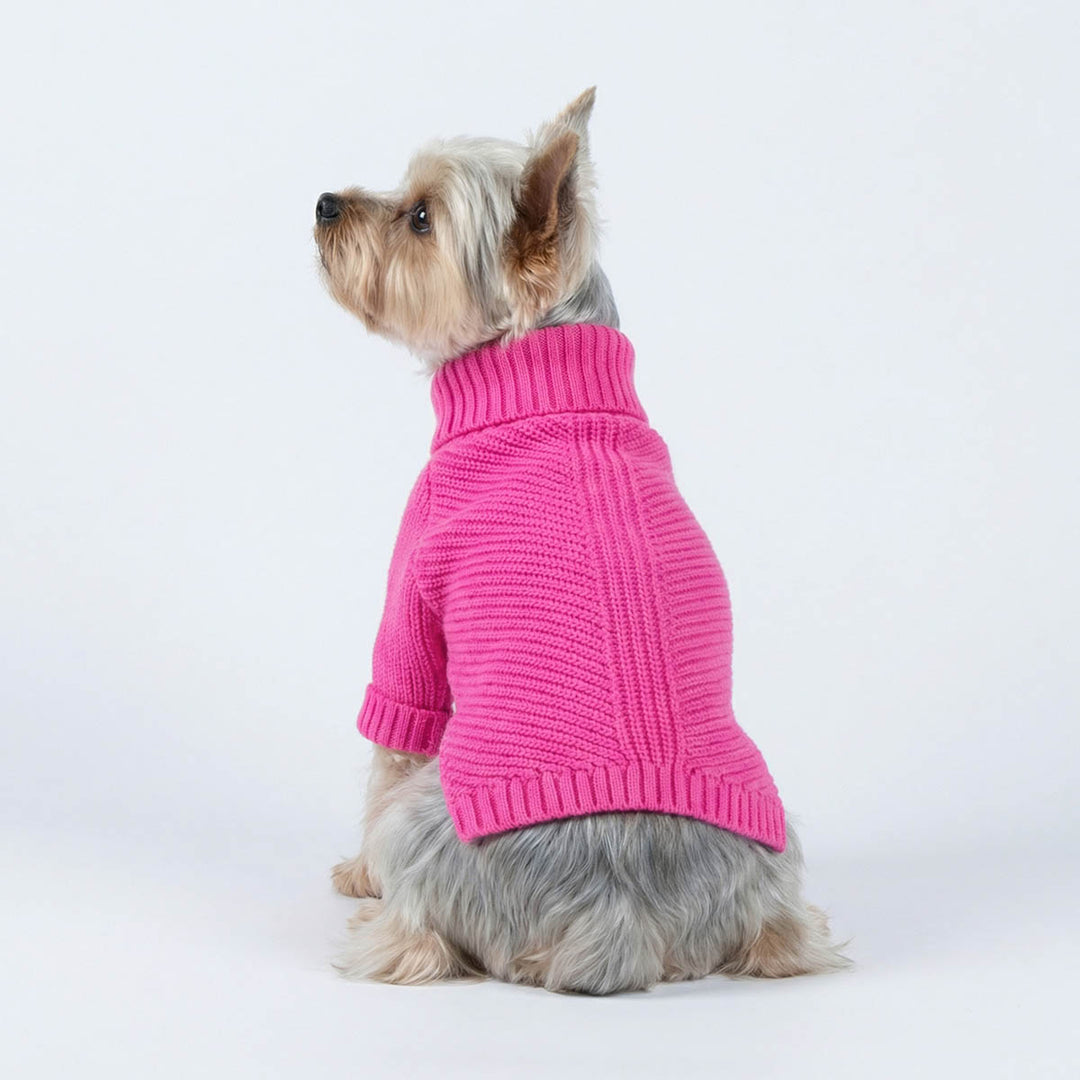 Small dog wearing a bright pink sweater  for dogs on a white background