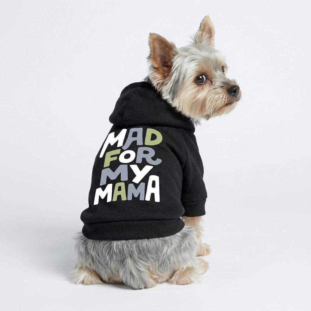 Yorkie wearing a black dog hoodie with  'mad for my mama' lettering