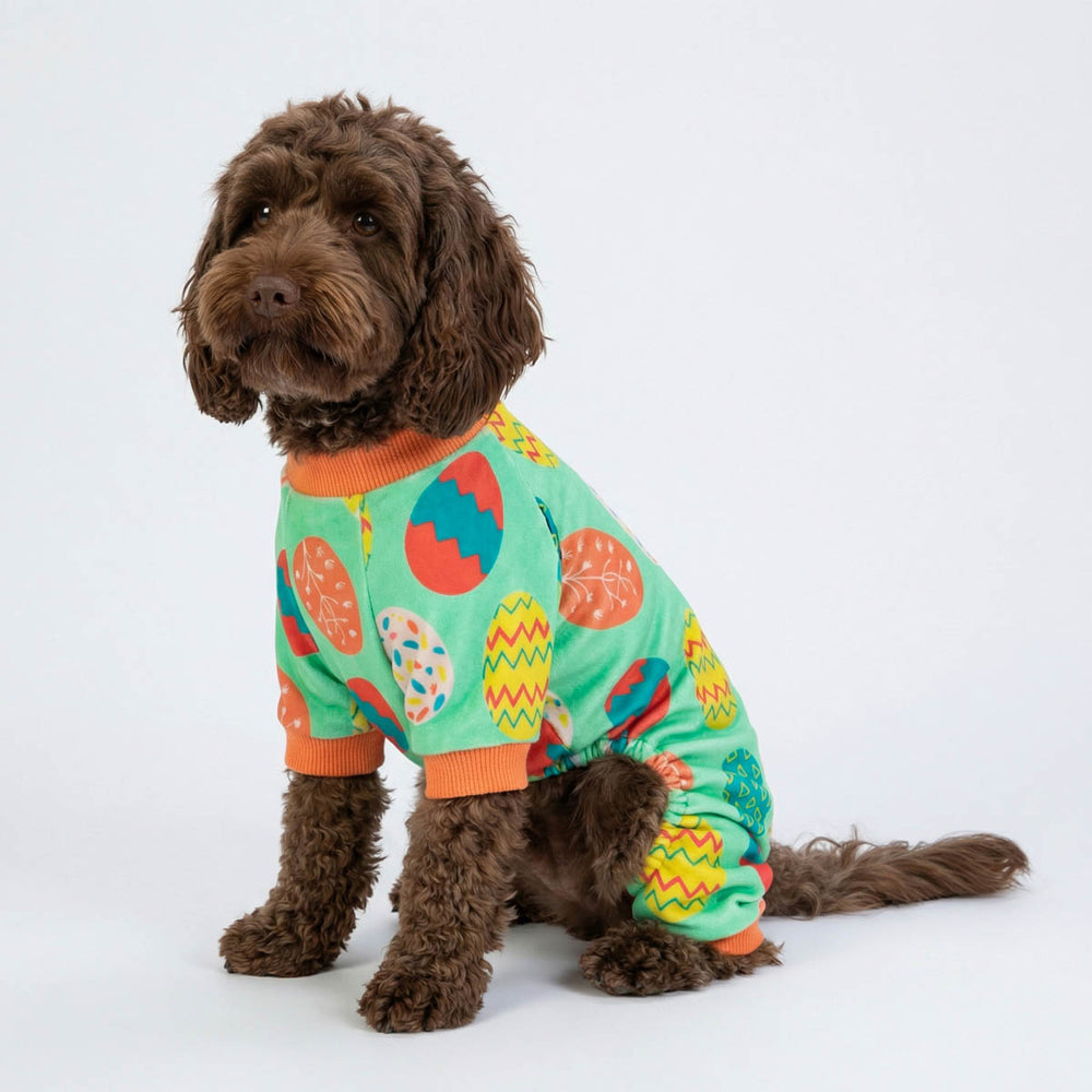 Easter eggs dog pajamas worn by small dog in studio setting