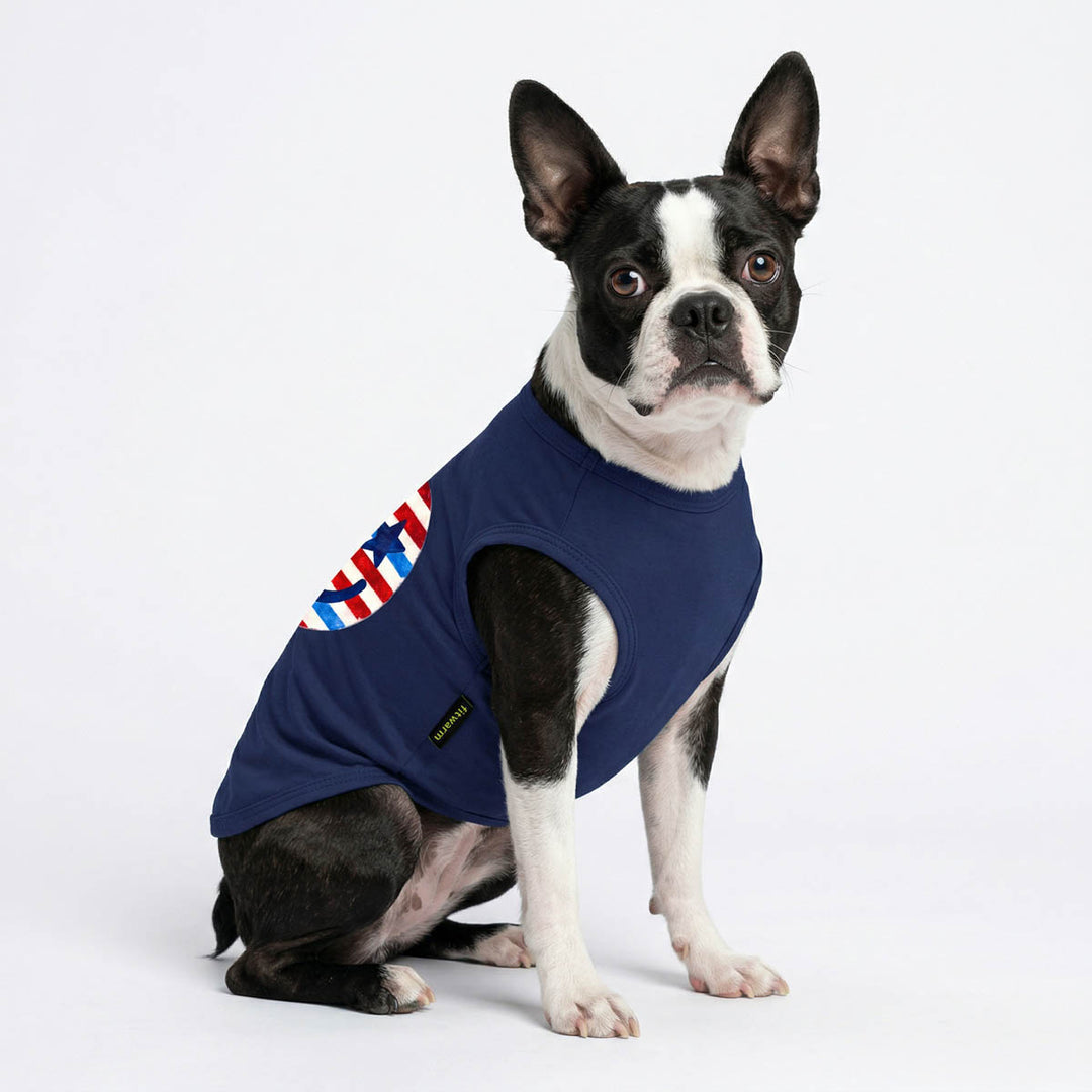 Dog wearing a blue sleeveless 4th of July dog shirt with a colorful patch on a white background