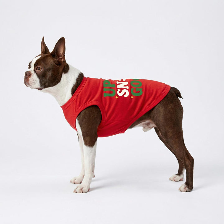 Brown and white dog dressed in classic red shirt for dogs for Christmas