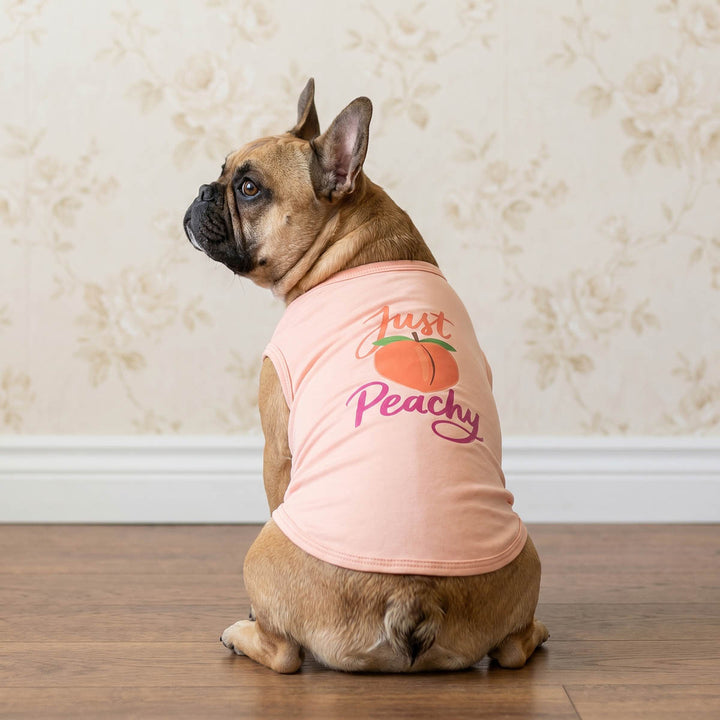 French Bulldog looks left side in a pink dog t-shirt with peach themed print