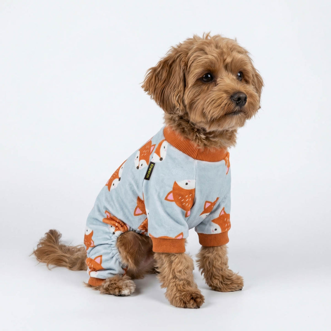 Dog wearing a pajama for dogs with fox pattern on a white background