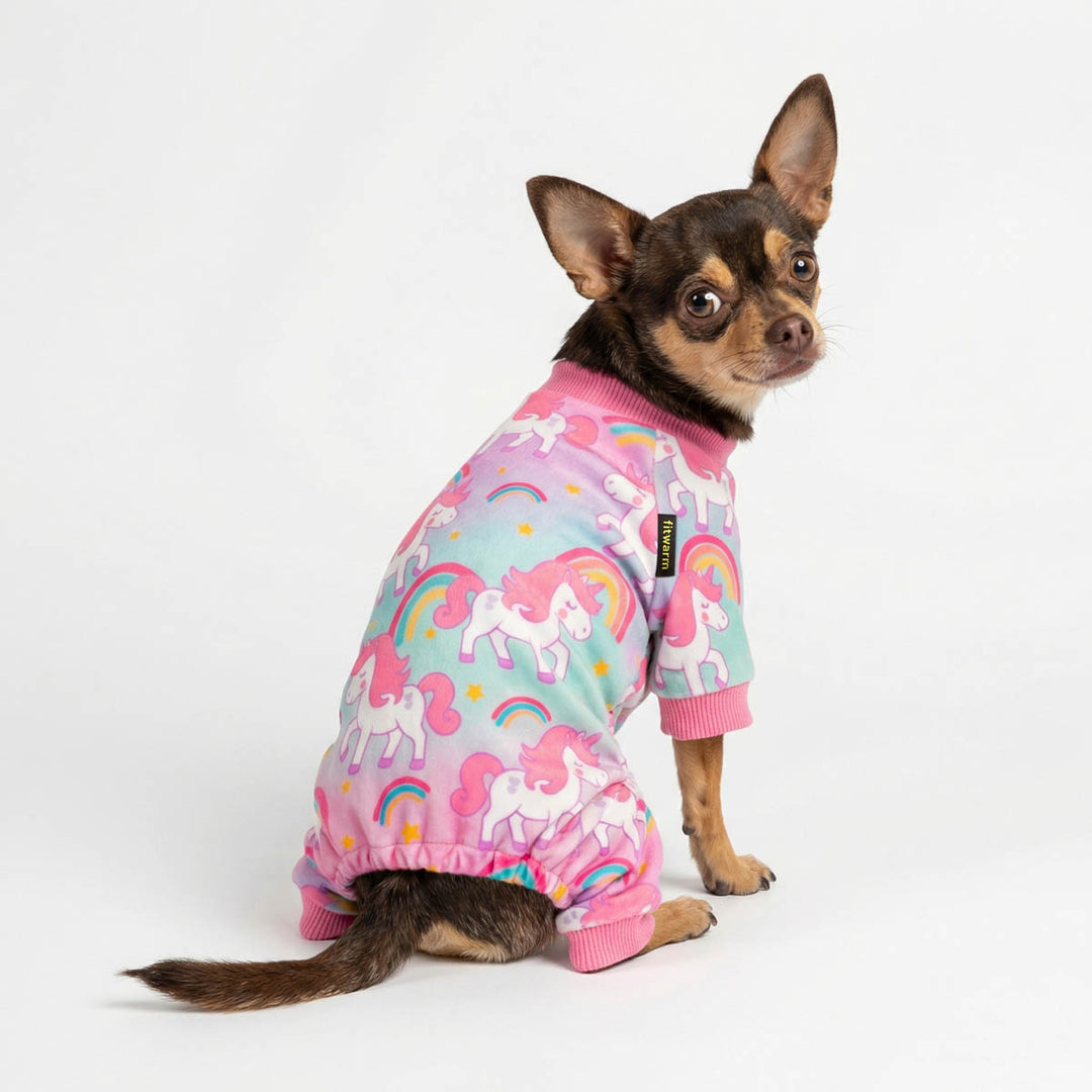 Cute dog dressed in unicorn dog onesie with rainbow accents and dreamy unicorn design