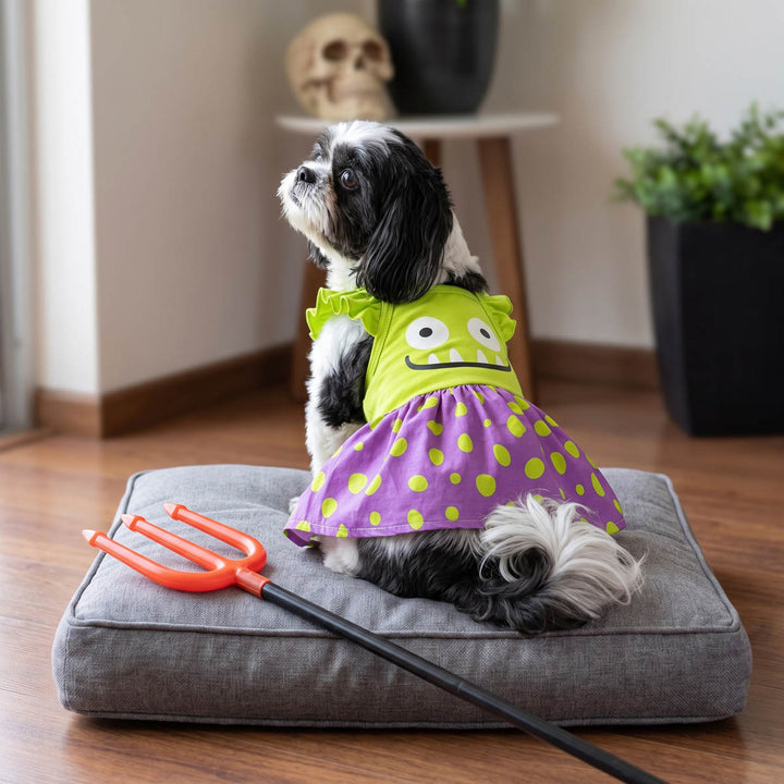 Small black-and-white dog sits on a gray cushion wearing a lime green Halloween dress for dogs with monster top and a purple skirt with green polka dots