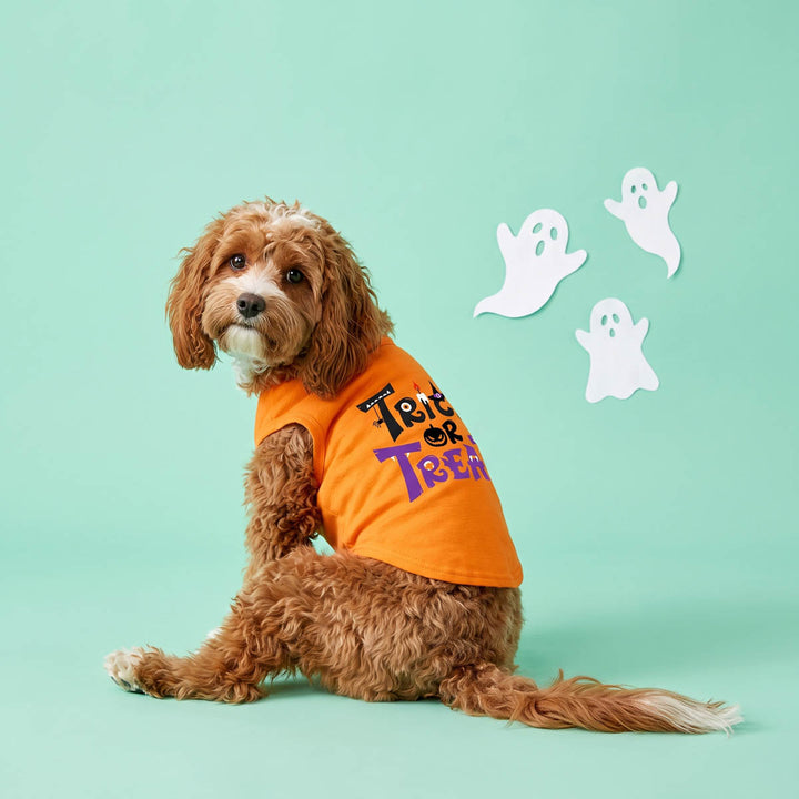 Small brown curly-haired dog wearing an orange dog T-shirt with 'Treats of Texas' in black and purple lettering, sitting against a mint green background with three white ghost cutouts