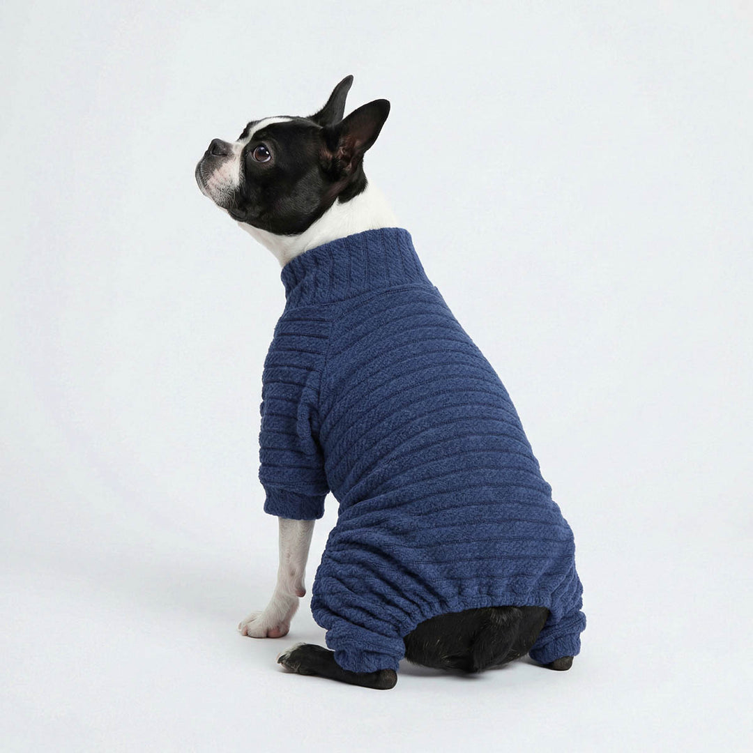 Boston Terrier sitting on the ground with a cozy twist dog knitted onesie