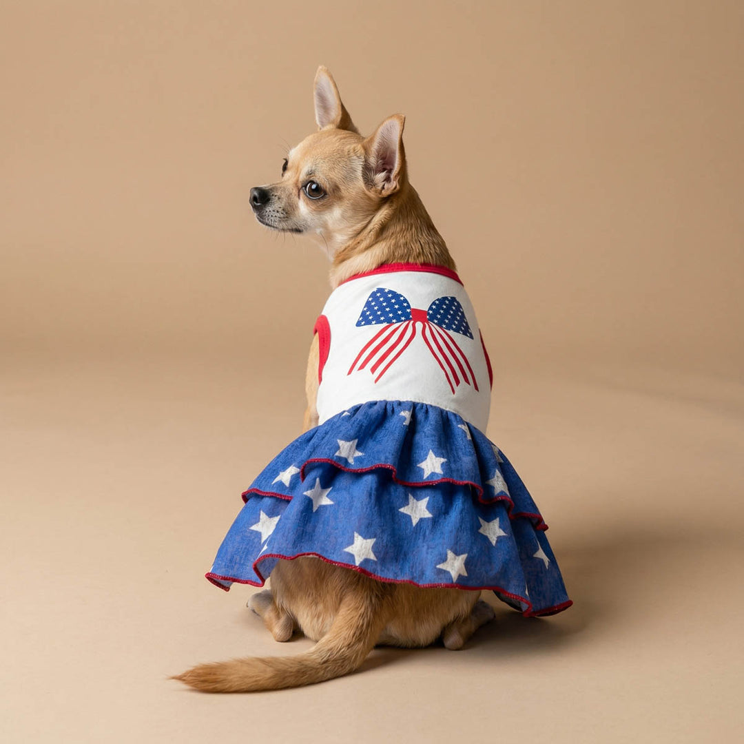 Back view of Chihuahua sitting in a beige background with a 4th of July dog tutu