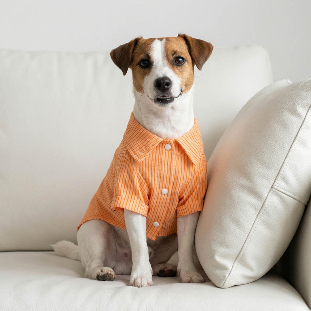 Button Up Striped Dog Shirt | Light & Breathable