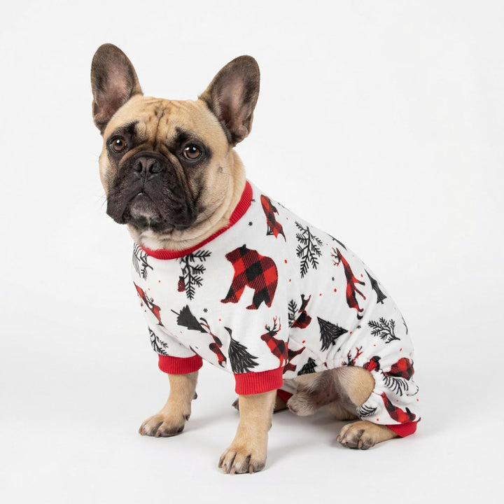 French Bulldog wearing a dog Christmas onesie with Christmas plaid patterns on a white background