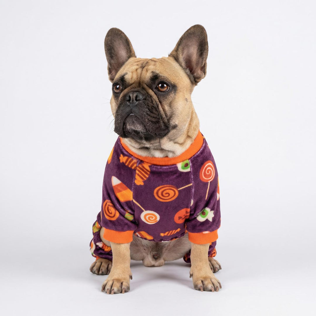 French bulldog wearing a spooky Halloween dog pjs