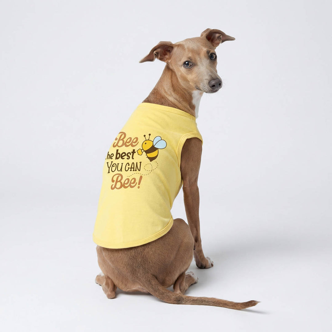 Dog wearing a yellow dog tank top with encouraging bee-themed text and graphics on a white background