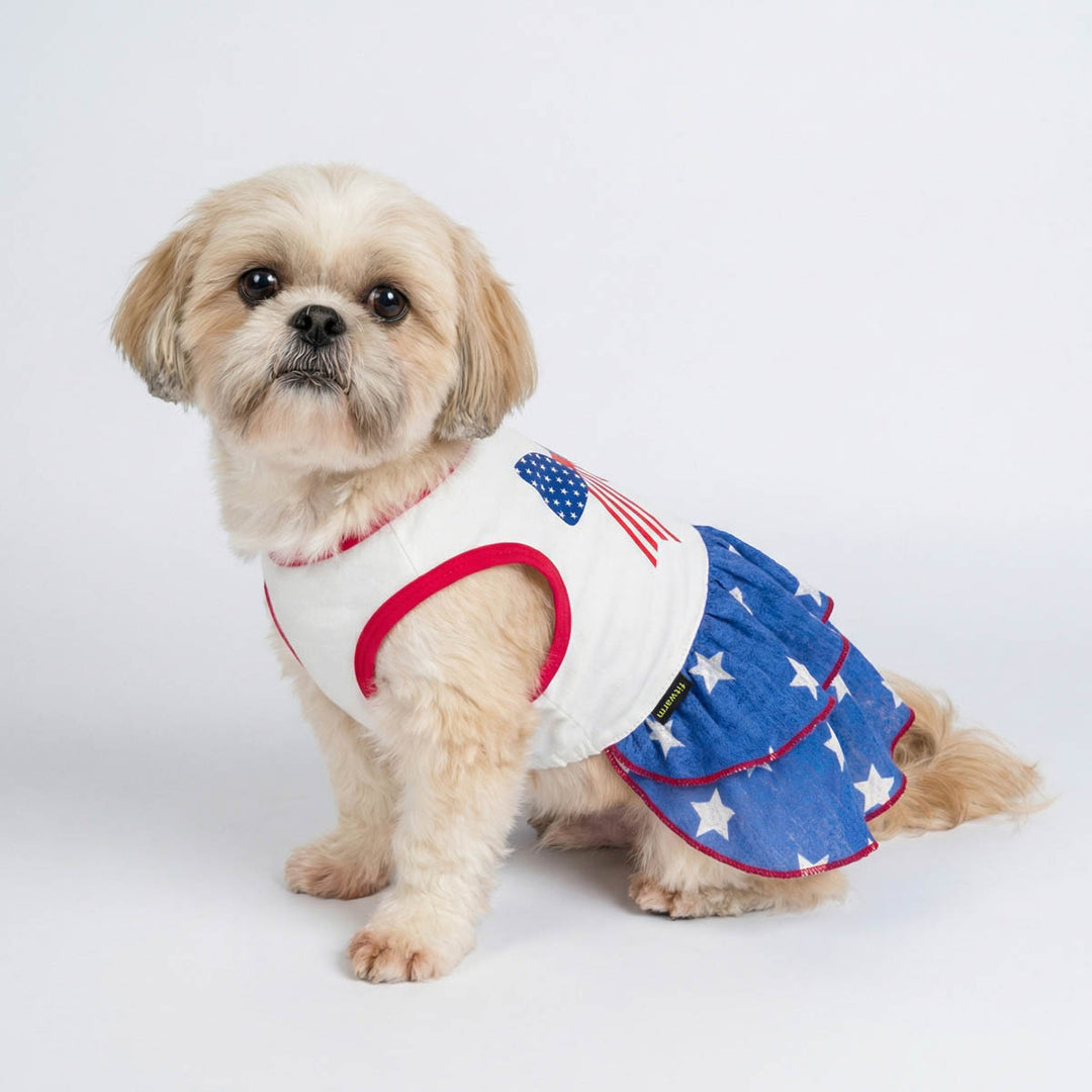 Small dog wearing a patriotic dress for dog with ruffle skirt design on a white background