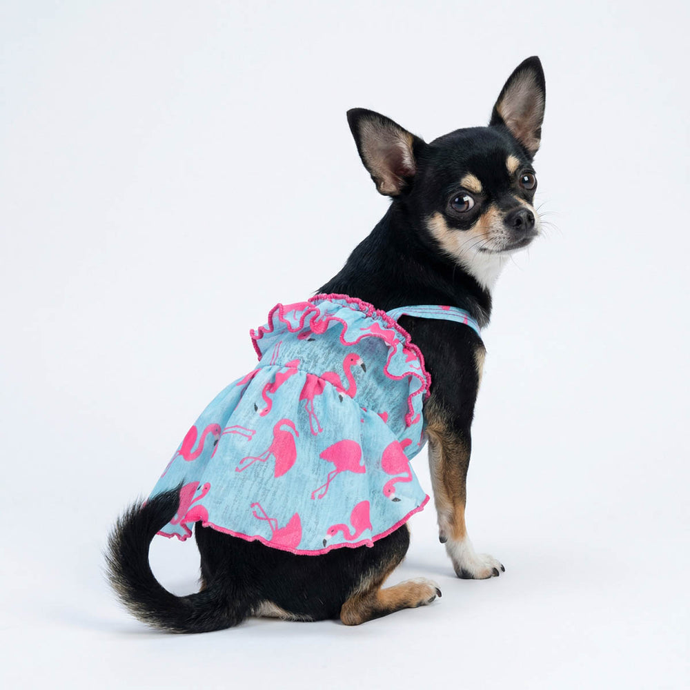 Chihuahua wearing a flamingos prints dog summer dress