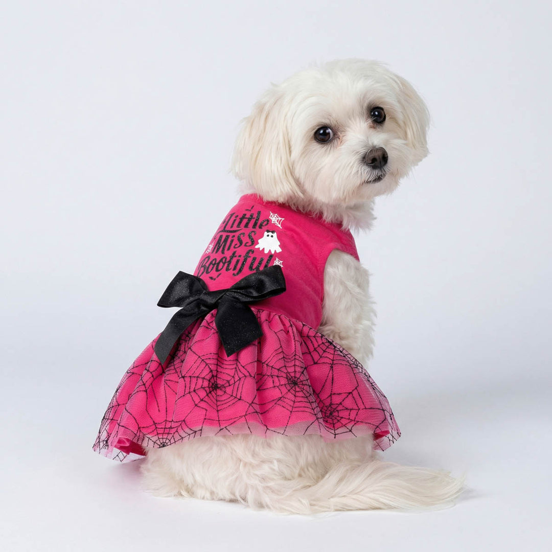 Small white dog wearing a pink spooky Halloween dress for with spider web design and black bow on a white background