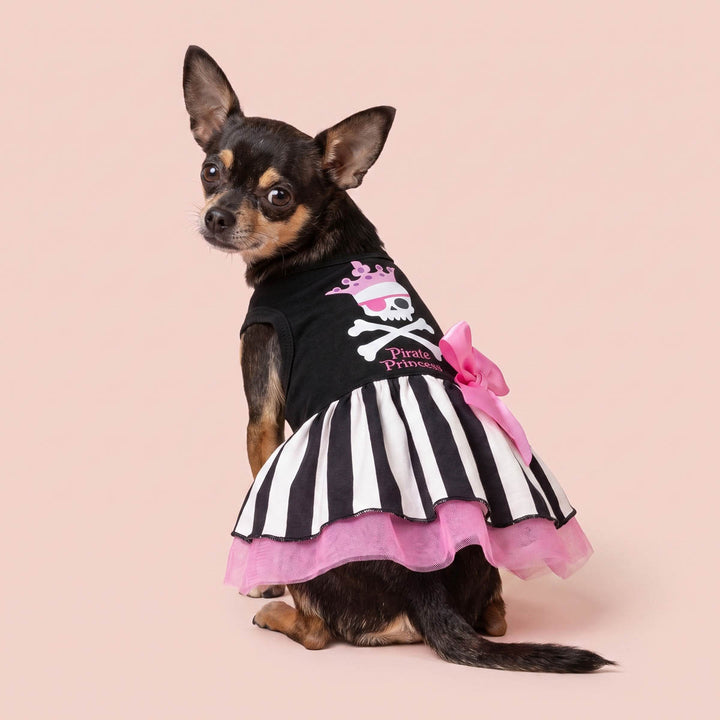 Chihuahua sitting on a solid pale pink background with black dog tulle dress with a pink and white pirate skull graphic, a black and white striped tutu skirt, and a large pink bow