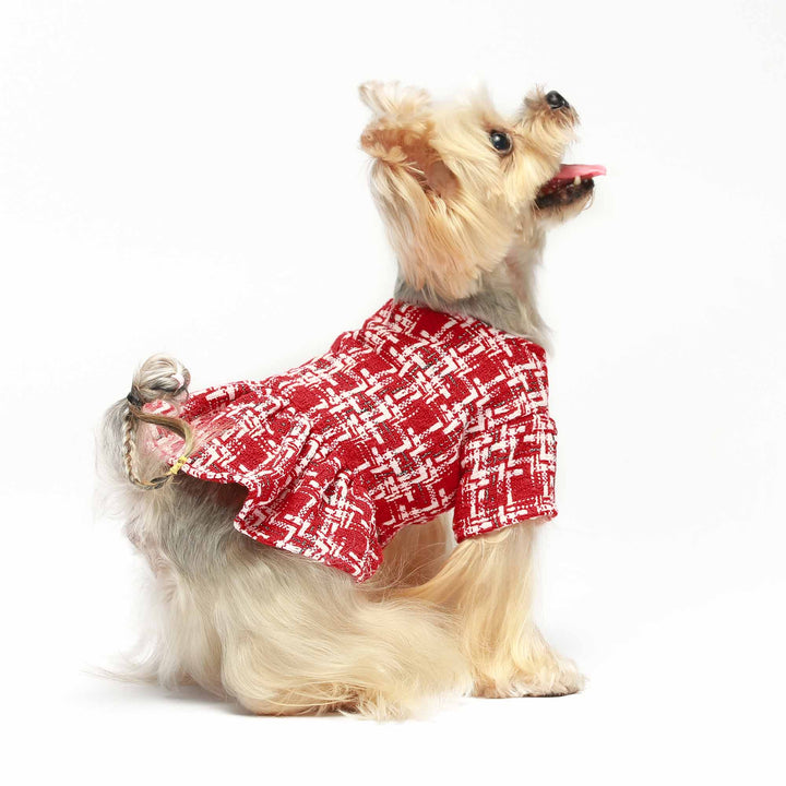 Vintage Shining yorkie clothes