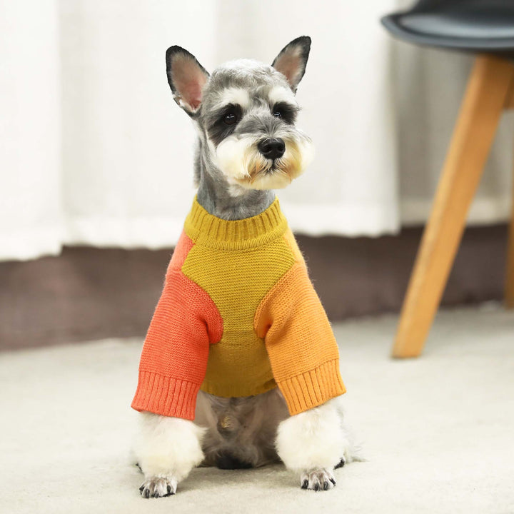 Color Block dogs clothes
