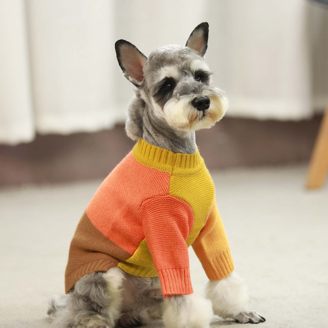 Color Block dog clothing