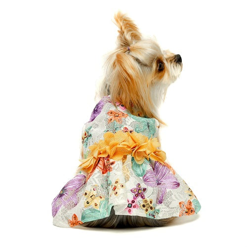 Lace Floral Belt Dog Dress