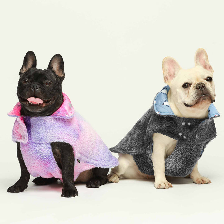 Waterproof Reversible Galaxy/ Penguin Pattern Frenchie Clothing