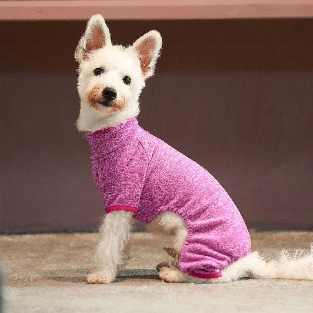 Fuzzy Velvet dogs clothes
