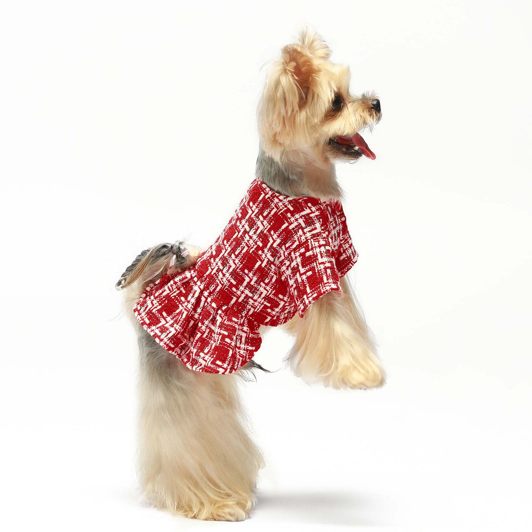 Vintage Shining teacup yorkie clothes