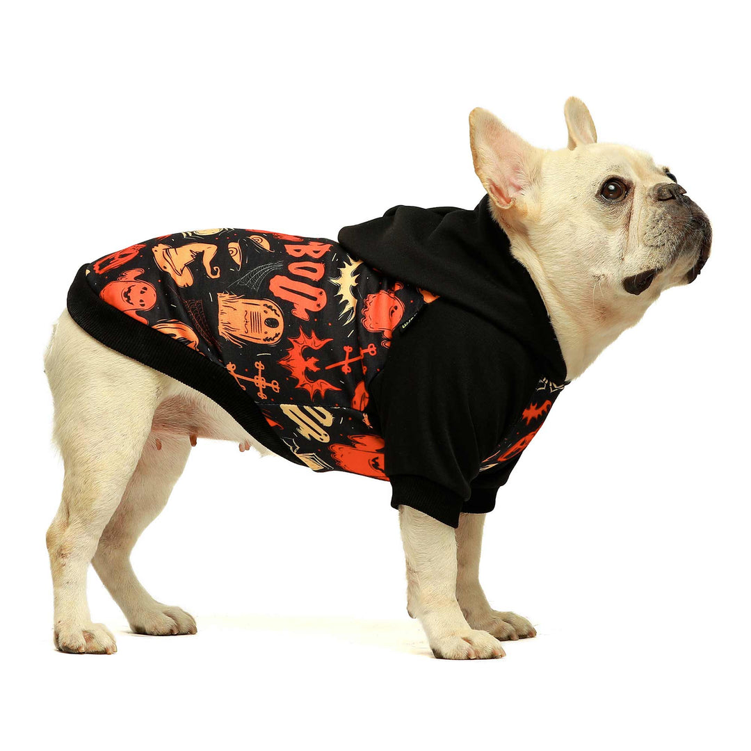 Halloween Costume french bulldog clothes