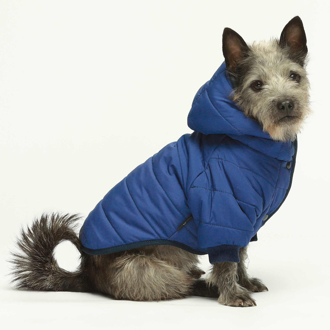 Waterproof winter dog coat