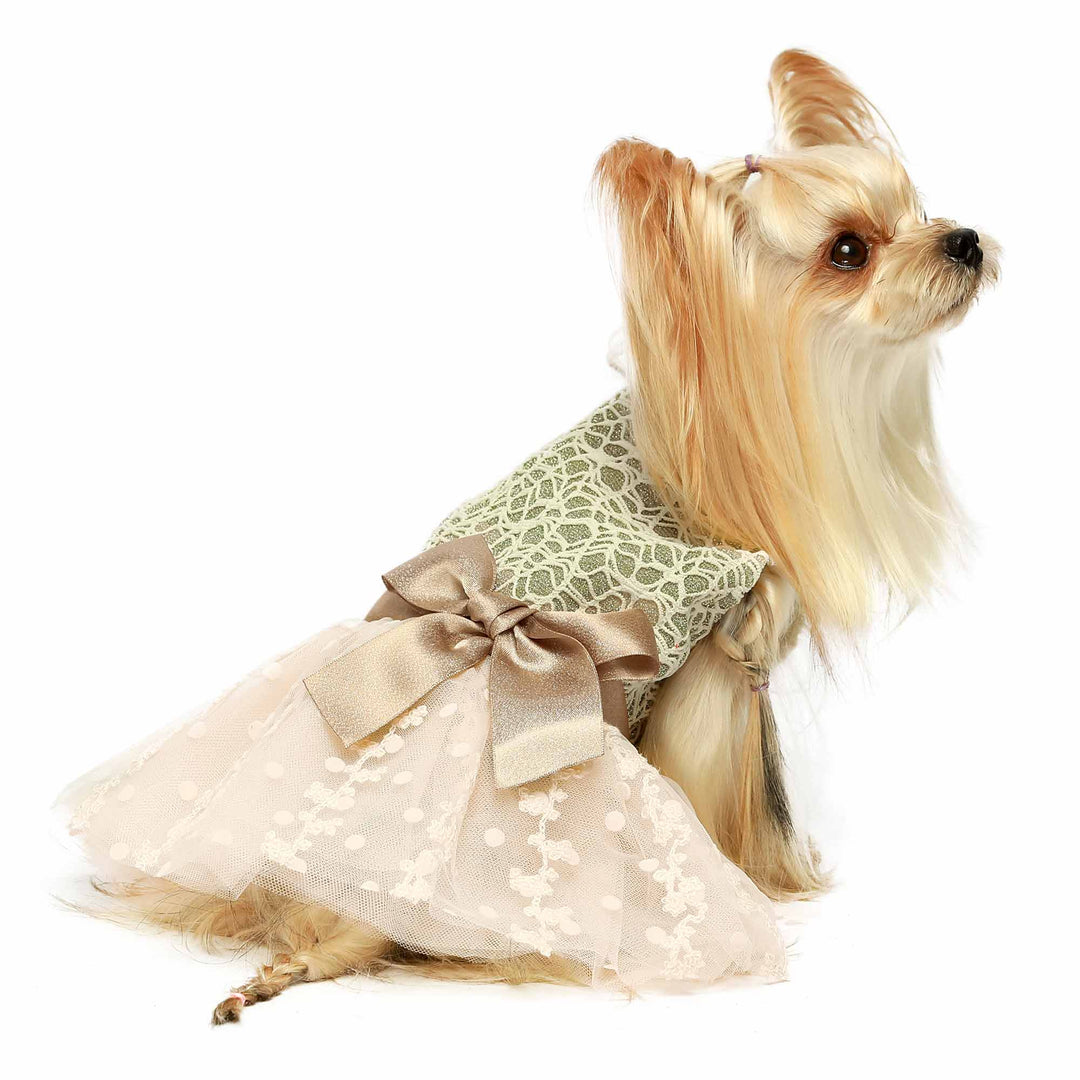 Shinning Embroideried yorkie clothes