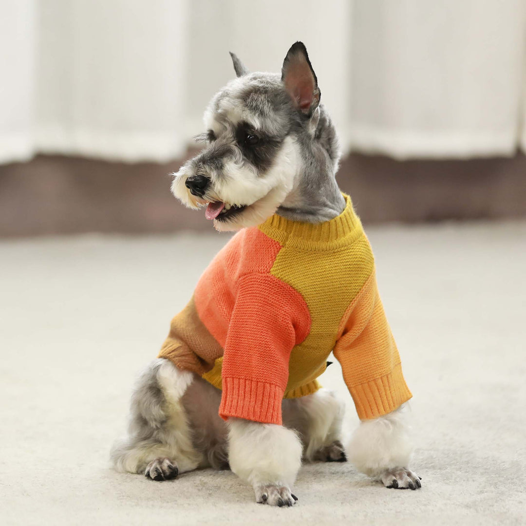 Color Block Dog Sweater