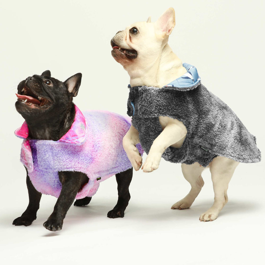 Waterproof Reversible Galaxy/ Penguin Pattern Clothes For Dogs