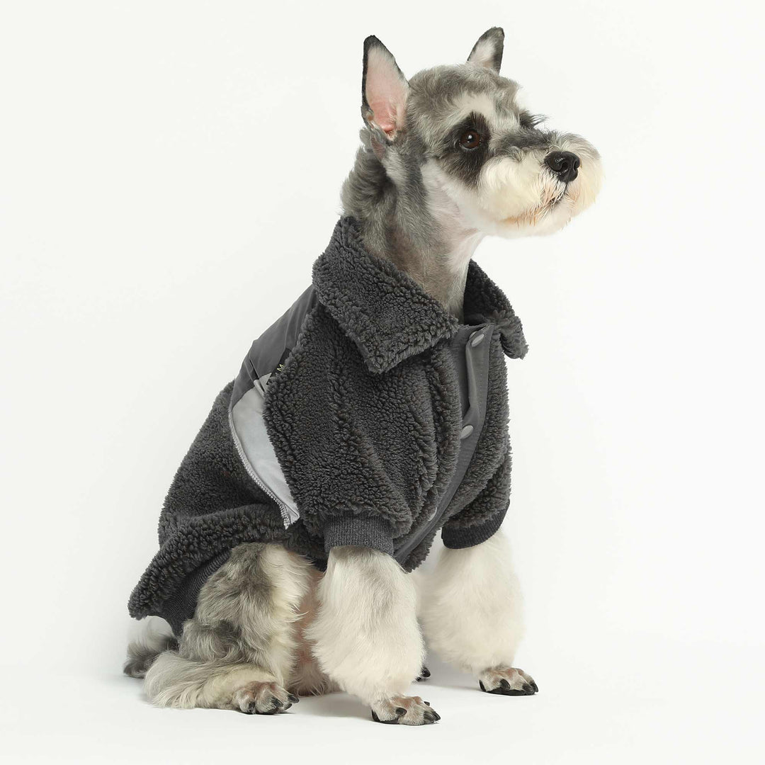 girl dog winter coats