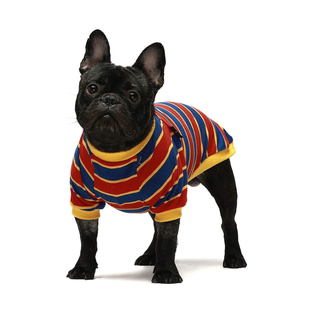 2-Pack 100% Cotton Striped White-Red frenchie clothing