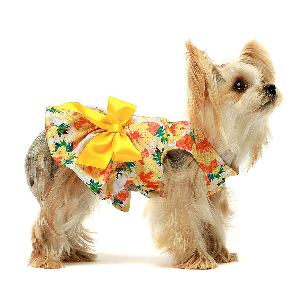 Yellow Pineapple yorkie clothes