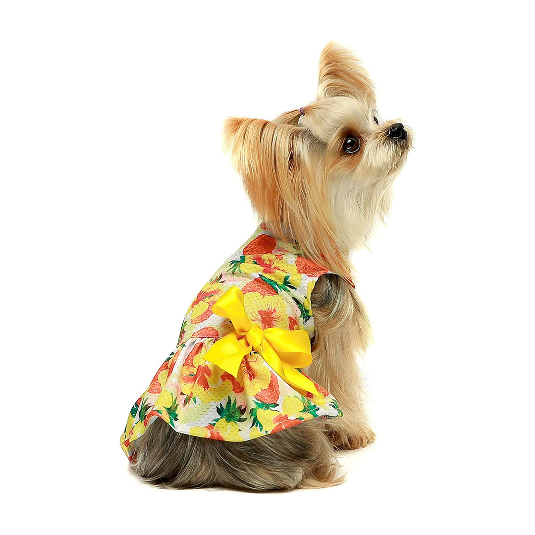 Yellow Pineapple Dog Dress