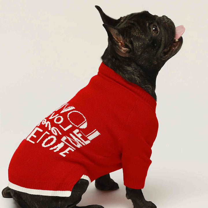 Love Love Dog Sweater